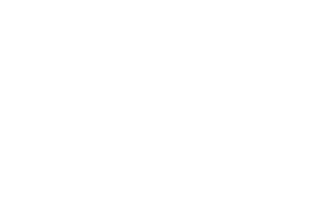 Bravery Ltd